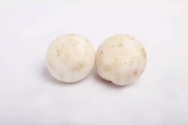 Funghi Sfondo Bianco — Foto Stock