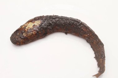 beyaz arka planda izole kedi balığı