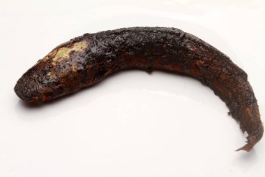 beyaz arka planda izole kedi balığı