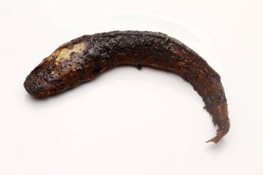 beyaz arka planda izole kedi balığı