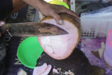 İnsanlar genç hindistan cevizi açar.