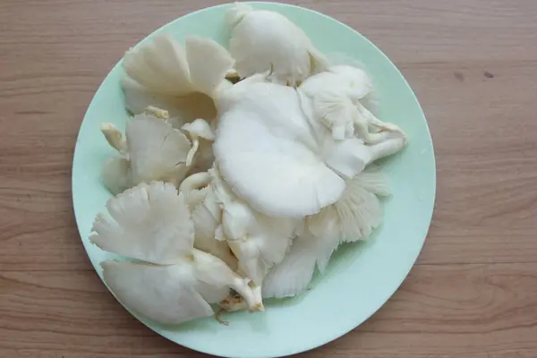 접시에 익지않는 버섯의 클로즈업 — 스톡 사진