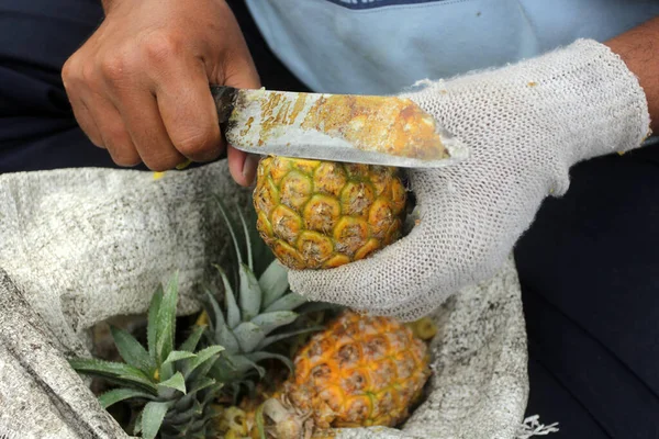 Close Man Hands Holding Pineapple — Stock Photo, Image