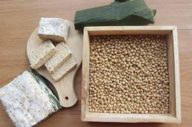 Tempeh, Pekalongan, Endonezya 'dan geleneksel bir yemek olan soya fasulyesi ürünüdür.