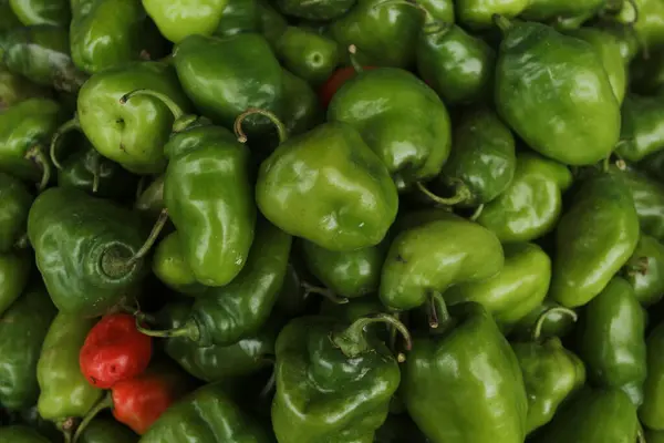 Peperoni Verdi Sul Mercato Verdure Fresche Immagine Stock