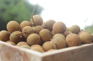 Piyasada bir demet Logan meyvesi