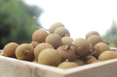 Piyasada bir demet Logan meyvesi