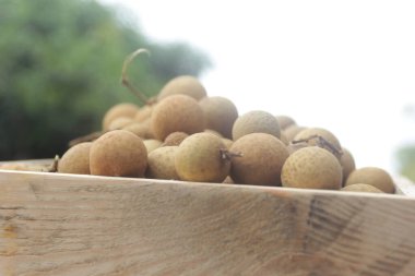 Piyasada bir demet Logan meyvesi