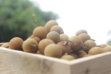 Piyasada bir demet Logan meyvesi