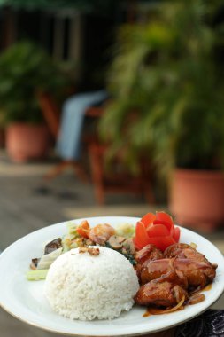 Kızarmış tavuk, pilav ve sebzeli beyaz tabak. yiyecek arka planı