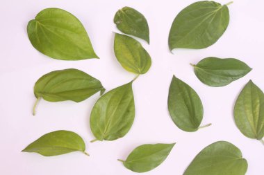 Beyaz izole arkaplanda betel yaprağı