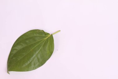 Beyaz izole arkaplanda betel yaprağı