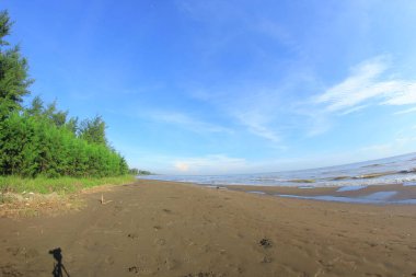 Koh samui adasının plajı