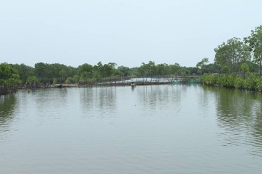 Parktaki nehrin güzel manzarası