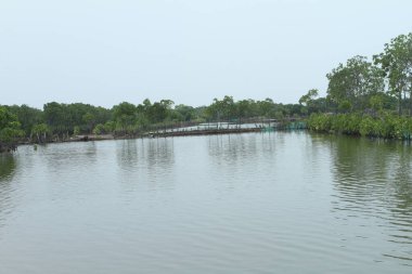 Parktaki nehrin güzel manzarası