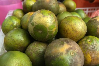 Taze olgun portakala yakın.