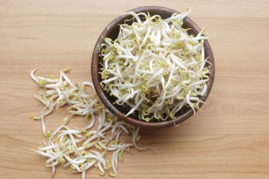 Taze fasulye filizinin yakın görüntüsü