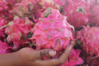 Piyasada ejderha meyvesi