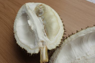 durian montong, tropikal meyve