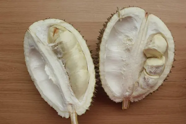 durian montong, tropikal meyve
