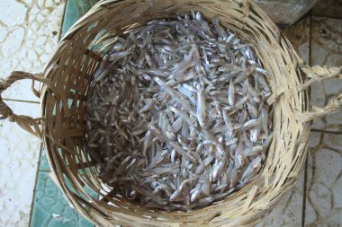 Taze ve lezzetli çipura.