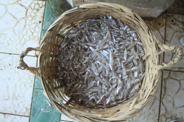 Kurutulmuş balık sepeti