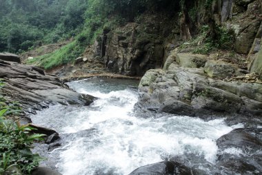 Dağlardaki ormanda şelale