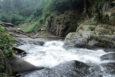 Tropikal yağmur ormanlarında şelale