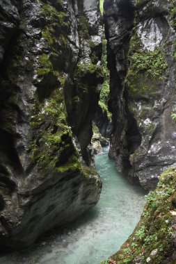 Sakin orman şelalesi, akan su, yemyeşil, sakin doğa, insan yok. Tolmin Boğazı, Slovenya.