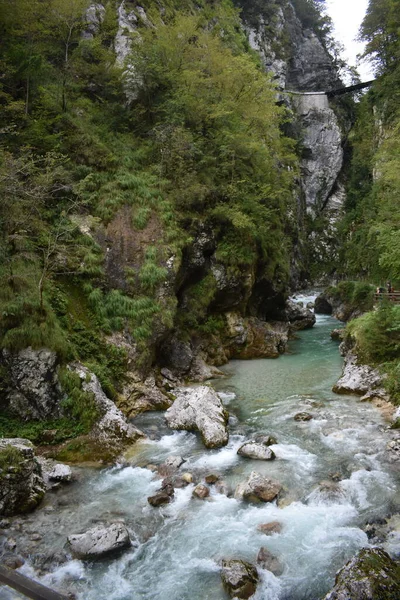 Cachoeira Tranquila Floresta Água Corrente Vegetação Exuberante Natureza Serena Sem — Fotografia de Stock