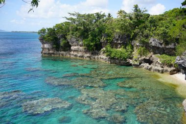 Vila Limanı Vanuatu Yeşil Göl