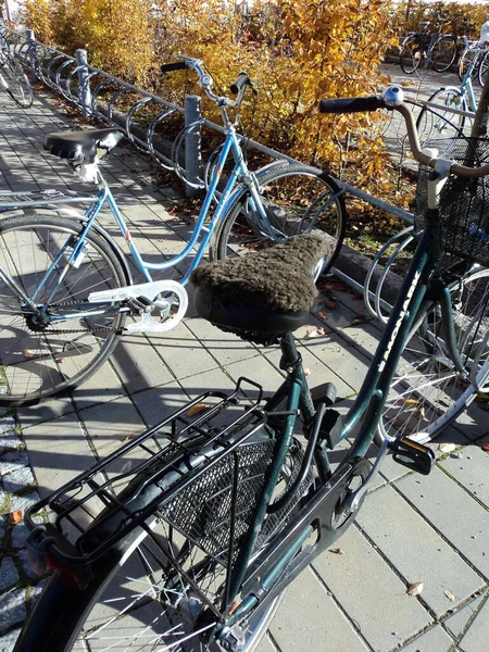 Rowery Uppsali Mieście Studenckim Szwecji Wysokiej Jakości Zdjęcie — Zdjęcie stockowe