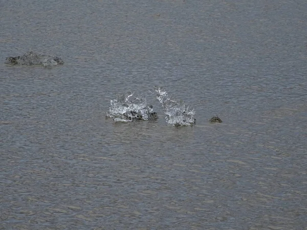 Ice Drifting Sea Iceland — Stock Photo, Image