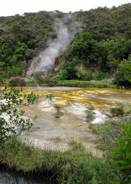 Waimangu Dal Konstig Vegetation Vulkaniska Området — Stockfoto