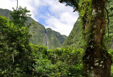 Cascade Blanche, third tallest waterfall of France in Salazie, Reunion island clipart