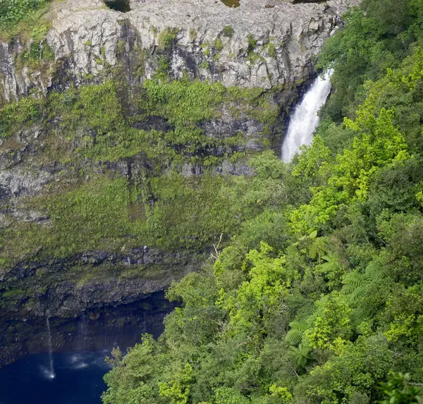 A waterfall in a tropical jungle in Takamaka, Reunion island, france