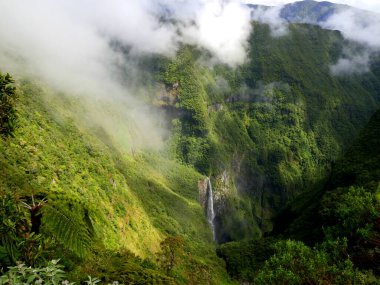 Trou de Fer or Iron hole, the highest french waterfall in the middle of a primary forest of Bebour in Reunion island, France clipart