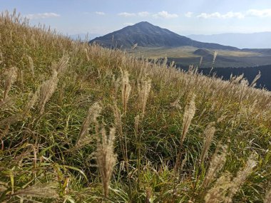 Kishimadake yolunda, Aso, Kumamoto, Kyushu, Japonya volkanik bölgesindeki çayırlar ve otlaklar.