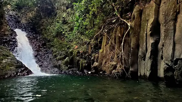 Cascade paradis, orman şelalesi bazalt organlar sütunlar, guadeloupe