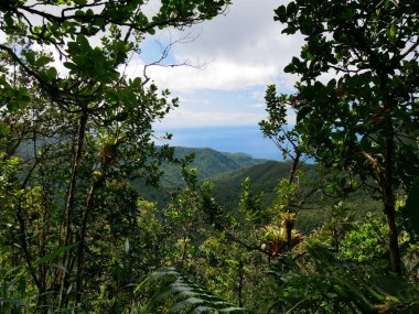 Orman ormanında bir açıklık, mamelle de petit bourg 'dan manzara, basse terre, guadeloupe