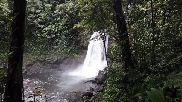 Third Carbet Waterfall Basse Terre Guadeloupe Powerful Tropical Cascade Jungle — Stock Video