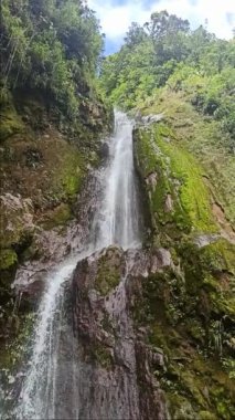 Guadeloupe 'daki Chute du Galon' un dikey HD videosu. Fransız Batı Hint Adaları 'nda çağlayan