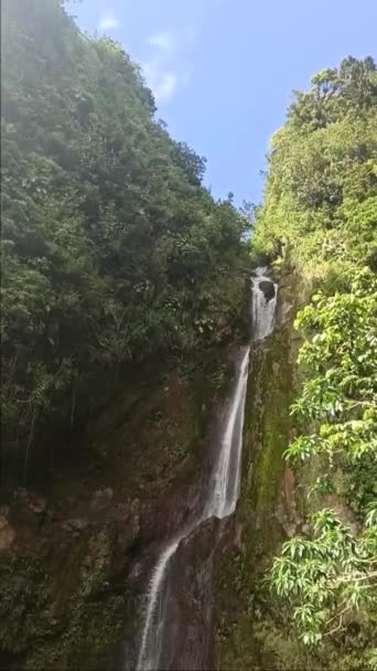 Vertical Video Chute Galion Scenic Waterfall Guadeloupe — Stock Video