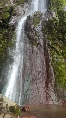 Galion Şelalesi 'nin sonundaki tatlı su ve gölet, Guadeloupe. Dikey video