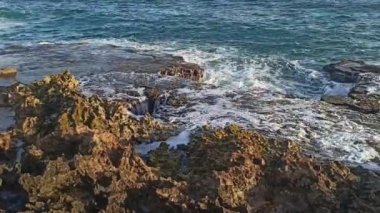 natural blowhole or salt water geyser on the coast near la Douche, guadeloupe, short hd video