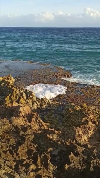 Natural Blowhole Salt Water Geyser Coast Douche Guadeloupe Vertical Video — Stockvideo