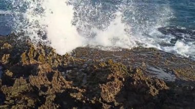 natural blowhole or salt water geyser on the coast near la Douche, guadeloupe, short hd video