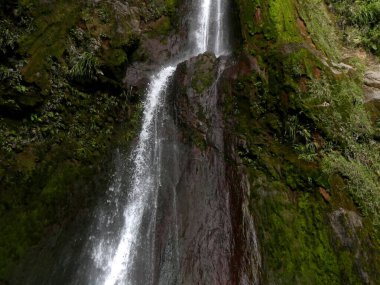 Galion Şelalesinin paraşütü, yosunlu volkanik uçurum, guadeloupe