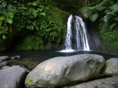 Gözden geçirilmiş çağlayanlar, yol göstericiler. Ormandaki Basse Terrasında Karayip şelalesi ve kayalar