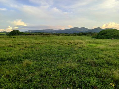 Pointe Allegre 'deki Basse Terre' nin otlakları ve dağları, Guadeloupe 'da akşam ışığında. Yeşil alan
